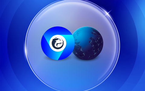 2. Browser Options